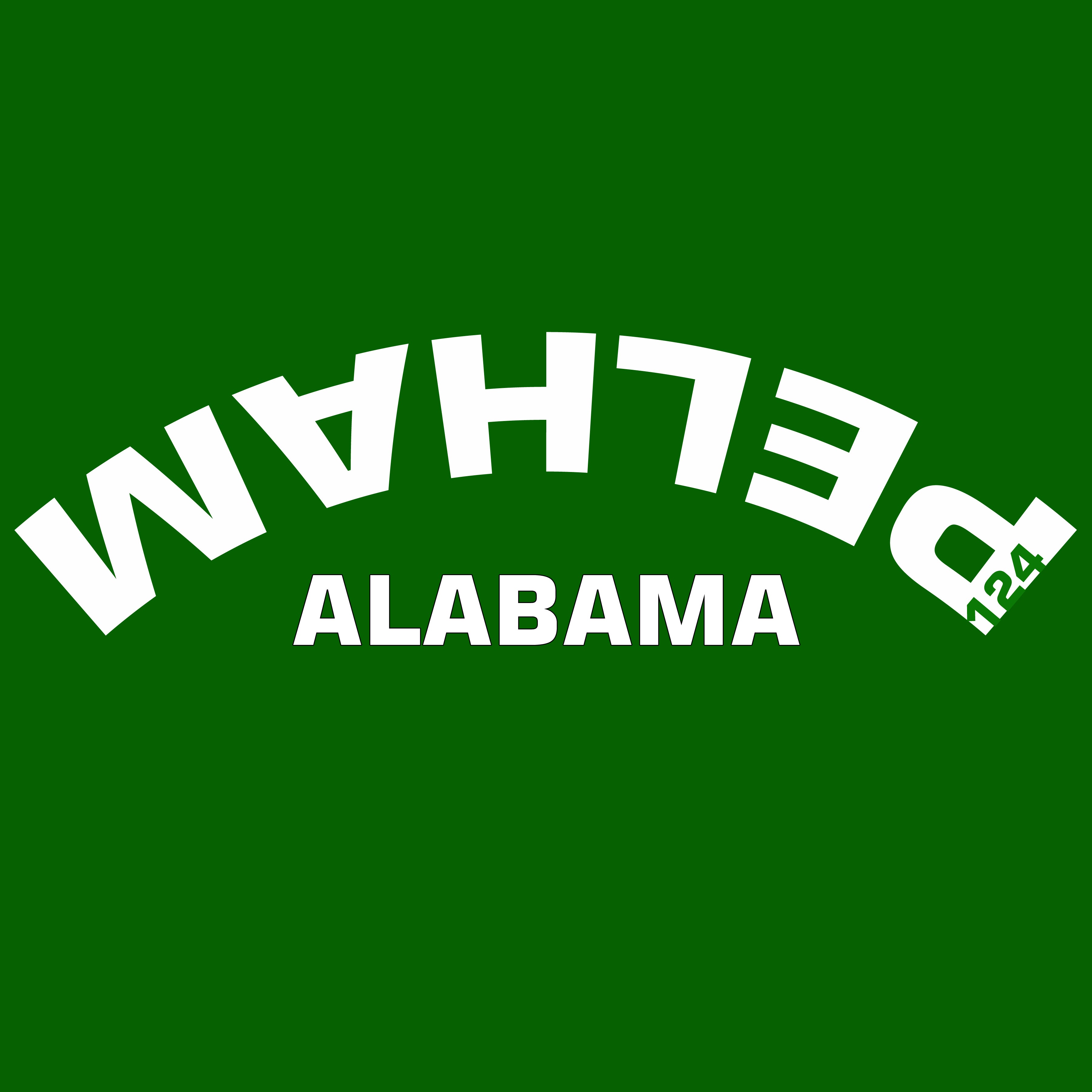 Pelham Alabama 124 short sleeve t-shirt - FLIPPED out!